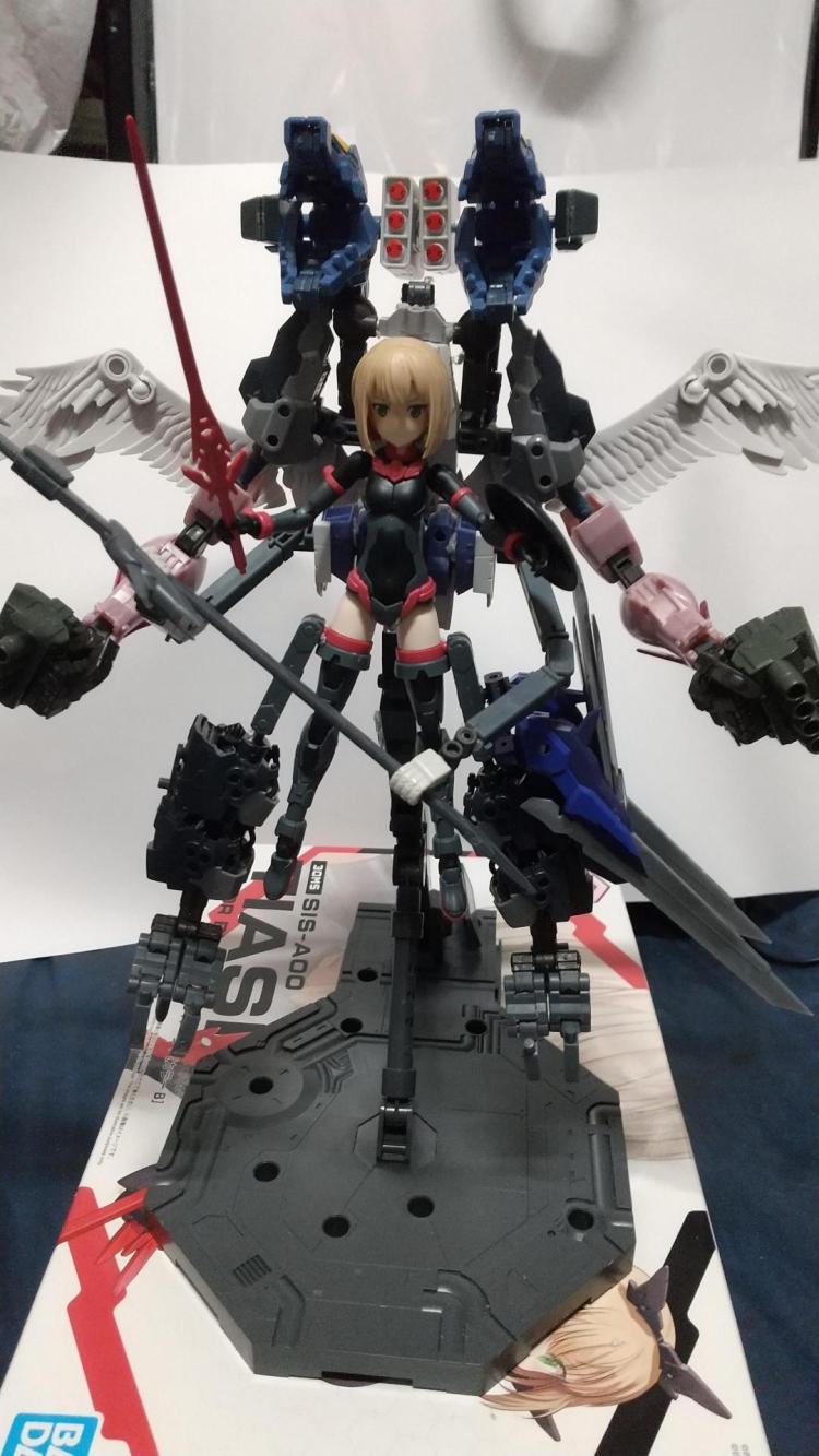 ドラコティアーシャNo2