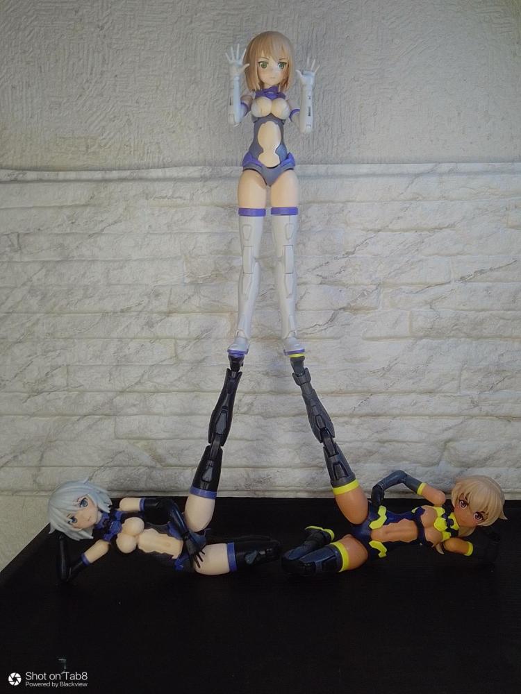 バランス族からの刺客その壱