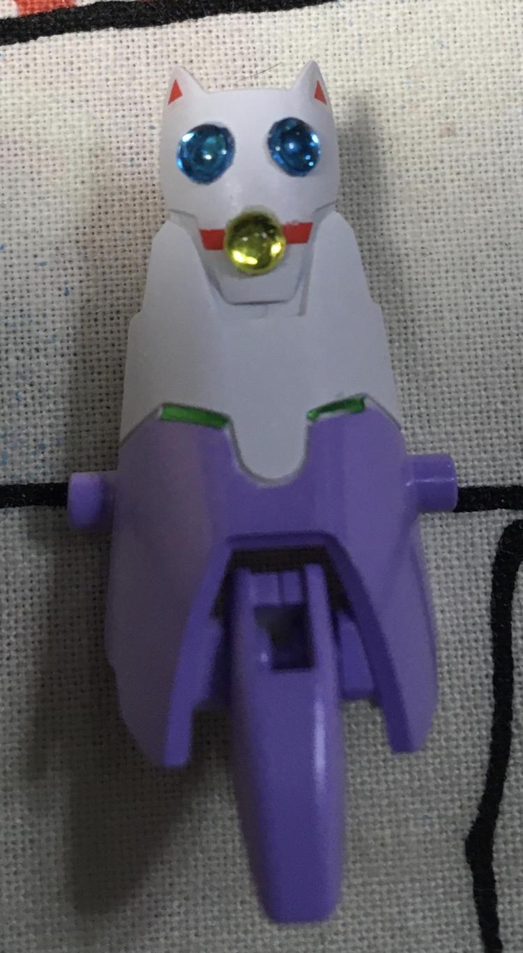 膝のネコ