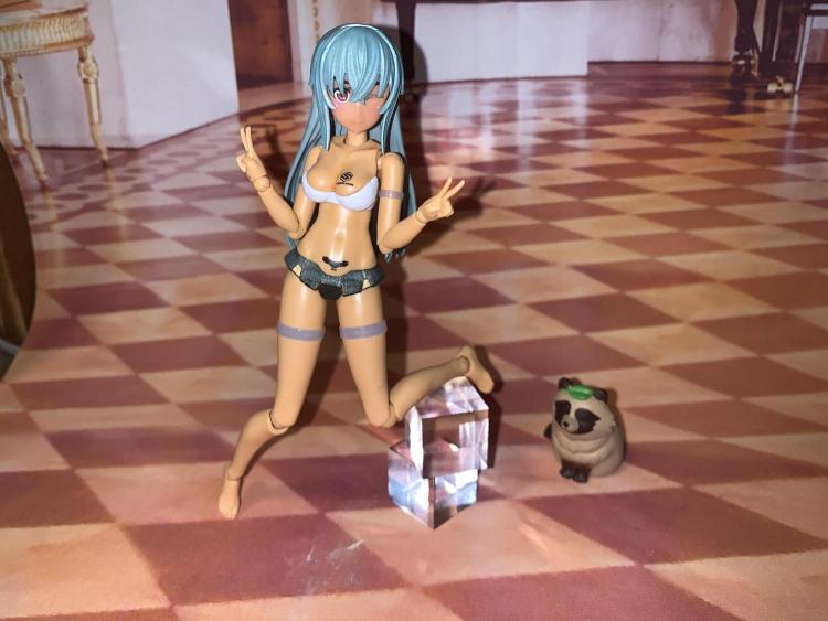 半裸のたぬき