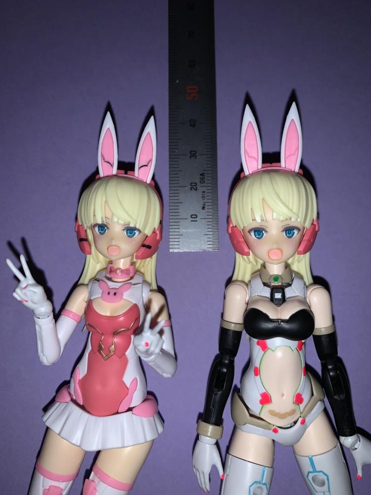 リリネル小顔改修比較