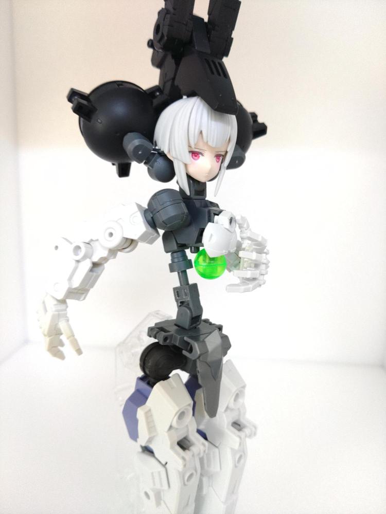 背骨フレーム