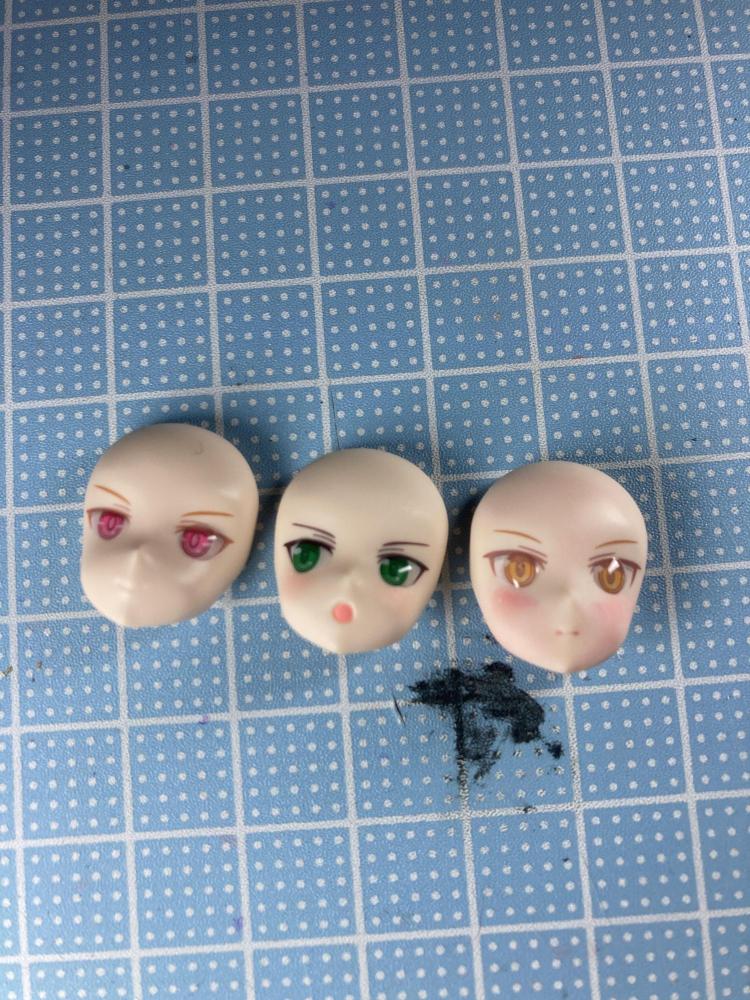 見本