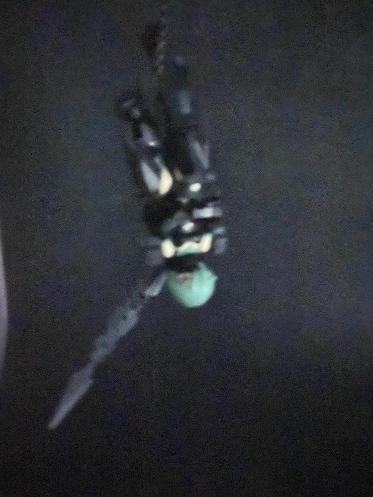 オマケ「監視カメラが最後に写したもの」