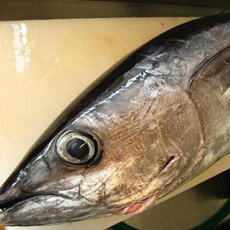 あるばこあのプロフィール画像