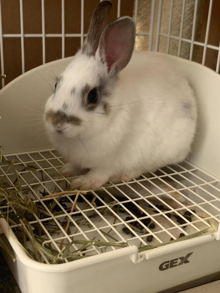 HitomiX00のプロフィール画像