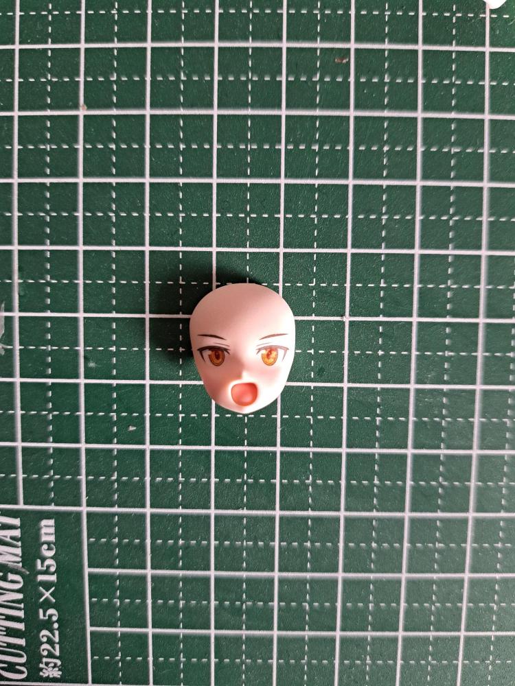 ファル顔　正面開口