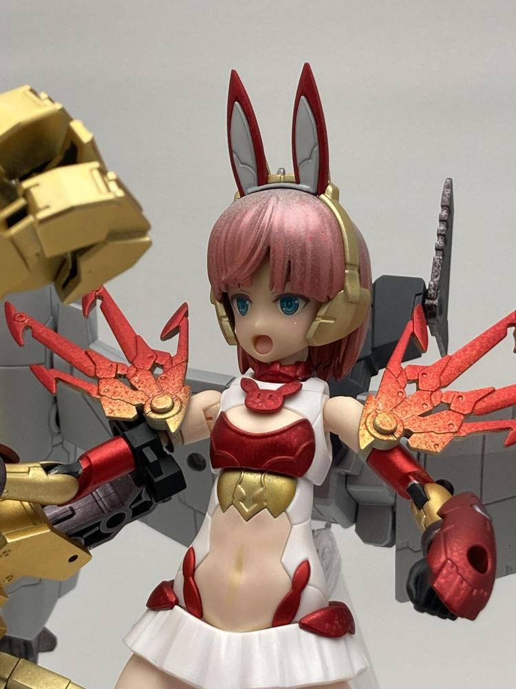 頭は専用ヘッドギアに