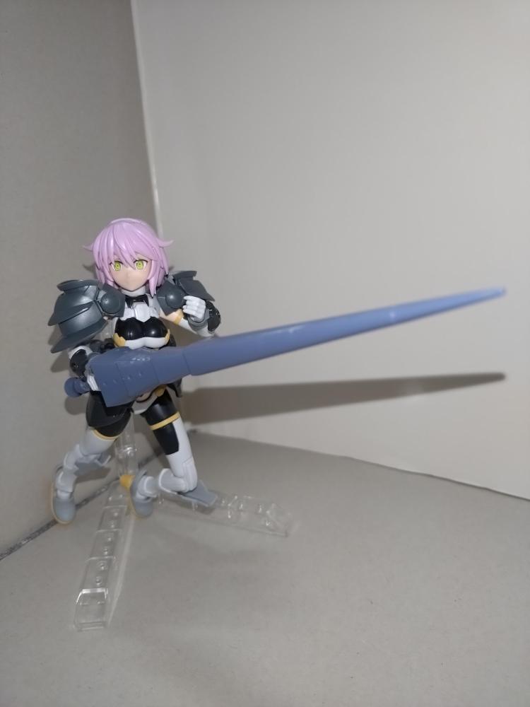 その1「ランスだ!!」