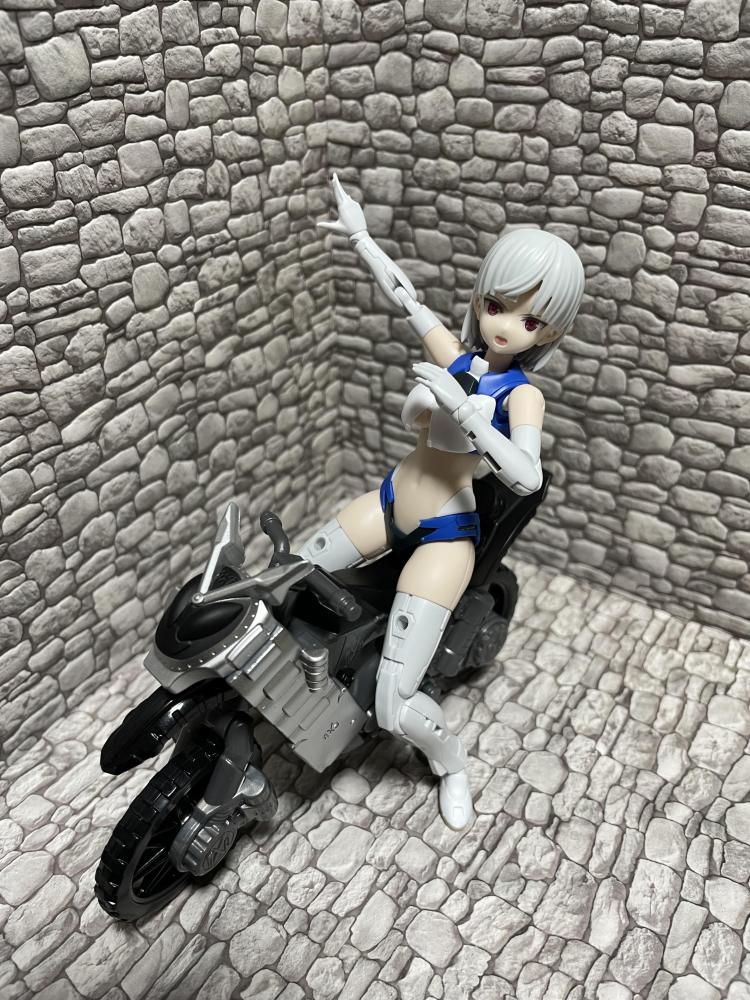 ララネル×装動ライドストライカー