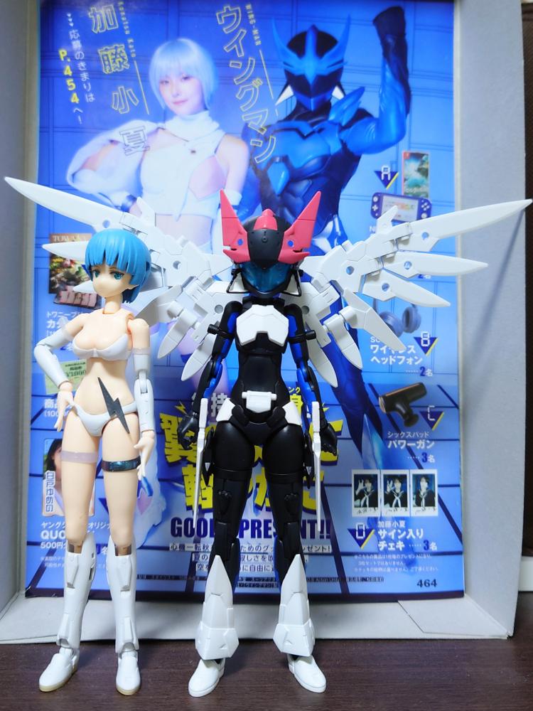 アオイさんといっしょ