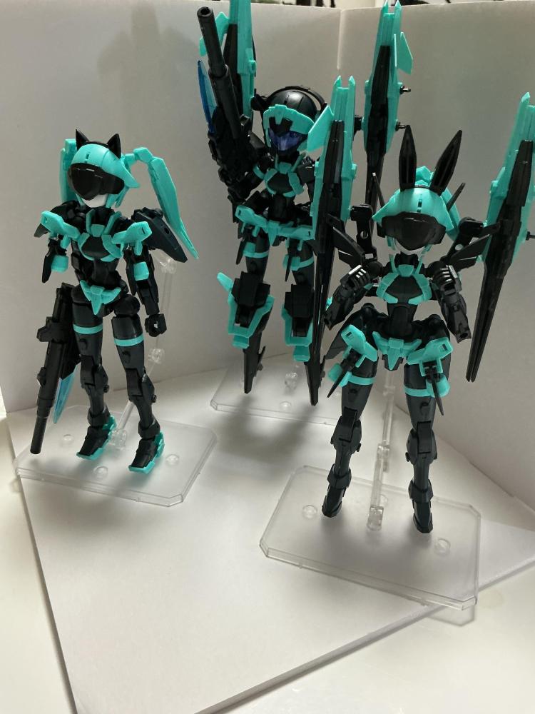 アチェッ娘とは