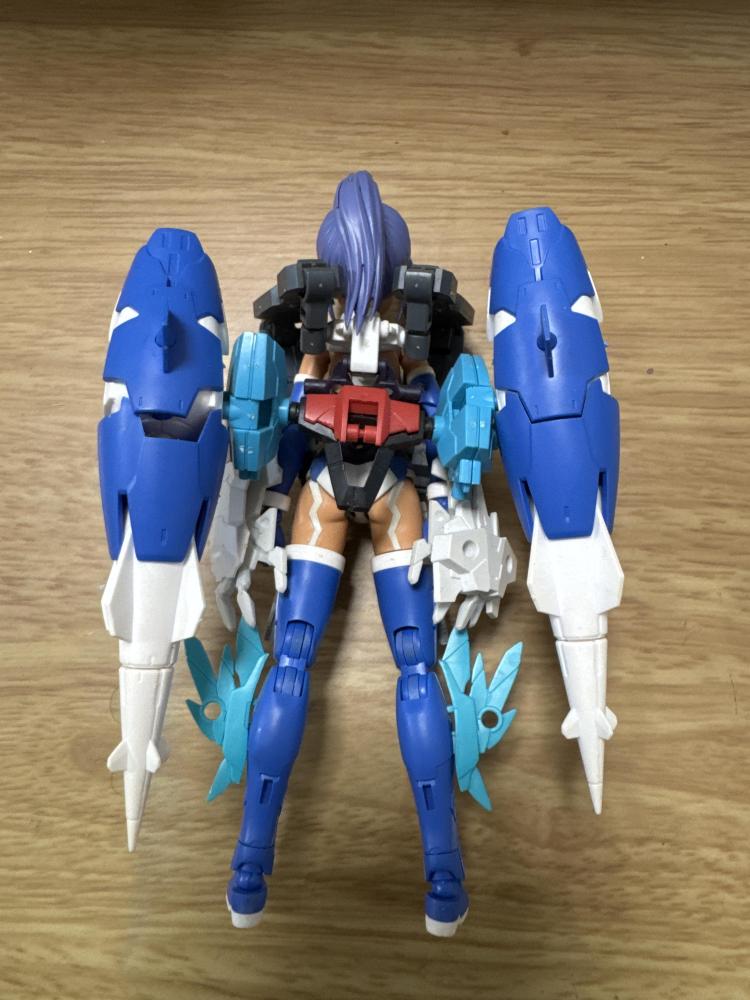 よくわからないバックウェポン？
